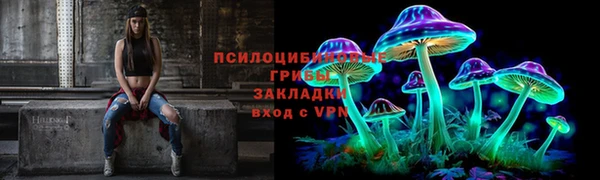 дмт Белокуриха