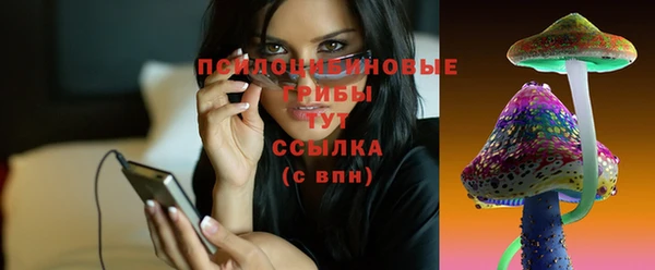молекула духа Белоозёрский