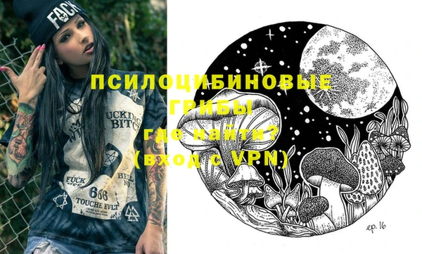 молекула духа Белоозёрский