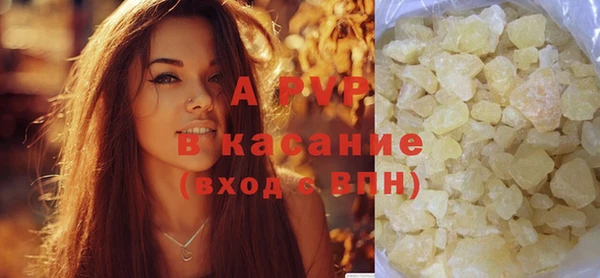дмт Белокуриха