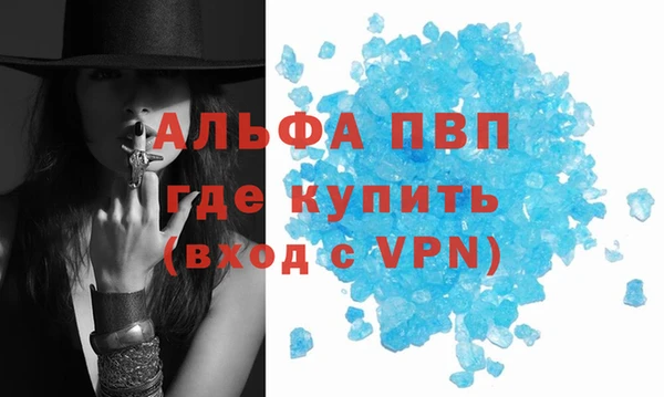 молекула духа Белоозёрский