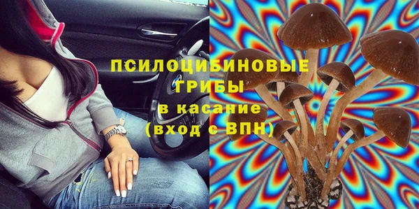 молекула духа Белоозёрский