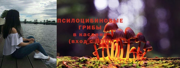 дмт Белокуриха