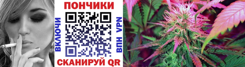 Конопля семена  купить наркотики сайты  Малмыж 